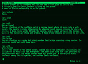 Zork II: The Wizard of Frobozz for Amstrad PCW - Game start.