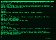 Zork II: The Wizard of Frobozz for Amstrad PCW - Lost in an oddly-angled room...