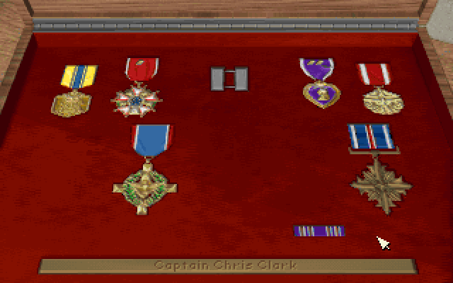 F-15 Strike Eagle III IBM PC/Compatibles Screenshot: The medals a character has won...