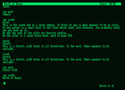 Zork: The Great Underground Empire for Amstrad PCW - I was transported back to the forest!