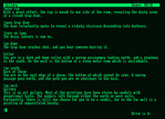 Zork: The Great Underground Empire for Amstrad PCW - Entering the dungeon...