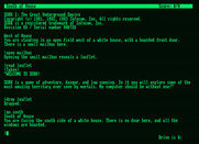 Zork: The Great Underground Empire for Amstrad PCW - Game start.