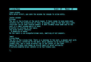 Zork: The Great Underground Empire for Commodore 128 - In a mysterious house...