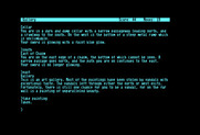 Zork: The Great Underground Empire for Commodore 128 - Taking a painting...