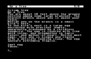 Zork: The Great Underground Empire for Commodore 64 - Found an egg up in the tree.