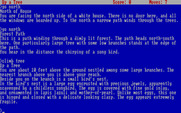 Zork: The Great Underground Empire for IBM PC/Compatibles - Exploring outside the house.
