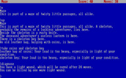 Zork: The Great Underground Empire for IBM PC/Compatibles - I have a light wound which affects how much I can carry.