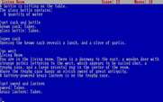 Zork: The Great Underground Empire for IBM PC/Compatibles - Make sure you take the lantern...