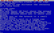 Zork: The Great Underground Empire for IBM PC/Compatibles - Exploring outside the house.