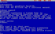Zork: The Great Underground Empire for IBM PC/Compatibles - I've been robbed! That thief can be troublesome...