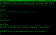 Zork: The Great Underground Empire for IBM PC/Compatibles - The window opened, looks like I found a way into the house!