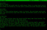 Zork: The Great Underground Empire for IBM PC/Compatibles - Climbing a tree to see if anything is up there.
