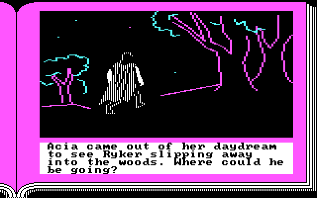 ZorkQuest: Assault on Egreth Castle IBM PC/Compatibles Screenshot: What danger is in the woods?
