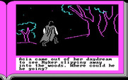 ZorkQuest: Assault on Egreth Castle for IBM PC/Compatibles - What danger is in the woods?