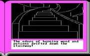 ZorkQuest: Assault on Egreth Castle for IBM PC/Compatibles - What's up this staircase?