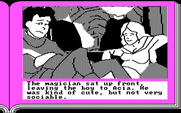 ZorkQuest: Assault on Egreth Castle for IBM PC/Compatibles - Our magician friend is shy.