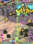 Mushihimesama for Arcade - On to the next level...