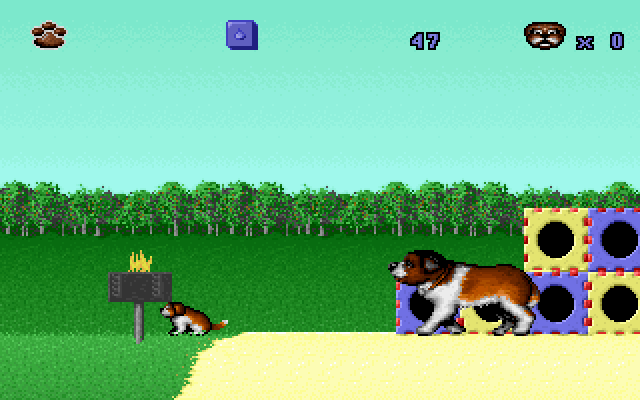 Beethoven: The Ultimate Canine Caper! IBM PC/Compatibles Screenshot: Trying to guide a pup back safely...