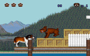 Beethoven: The Ultimate Canine Caper! for IBM PC/Compatibles - An angry dog appears...