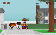 Beethoven: The Ultimate Canine Caper! for IBM PC/Compatibles - Barking at the skateboarder...