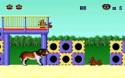 Beethoven: The Ultimate Canine Caper! for IBM PC/Compatibles - Watch out for these squirrels throwing things at you!