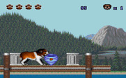 Beethoven: The Ultimate Canine Caper! for IBM PC/Compatibles - Quick, avoid this whirlwind of a cat!