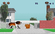 Beethoven: The Ultimate Canine Caper! for IBM PC/Compatibles - A cat causes trouble!