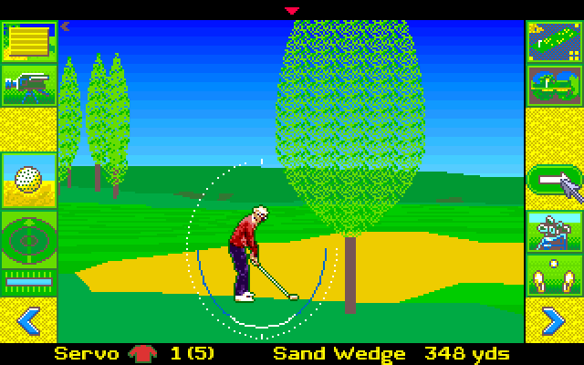 David Leadbetter's Greens Amiga Screenshot: Hitting from the sand.