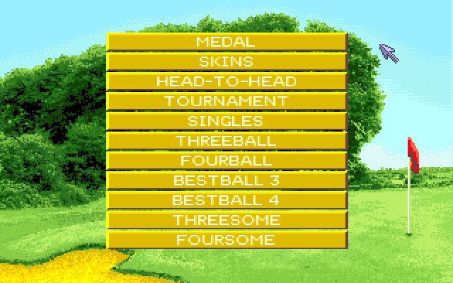 David Leadbetter's Greens Amiga Screenshot: Choosing some game options.