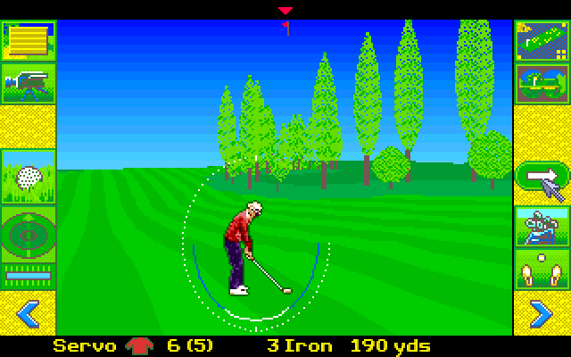 David Leadbetter's Greens Amiga Screenshot: In the fairway...