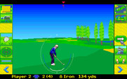 David Leadbetter's Greens for Amiga - There's the green in the distance...