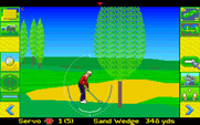 David Leadbetter's Greens for Amiga - Hitting from the sand.