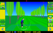 David Leadbetter's Greens for Amiga - This fairway is narrow...