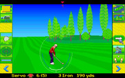 David Leadbetter's Greens for Amiga - In the fairway...