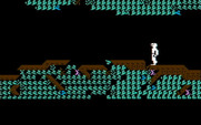 Below the Root for IBM PC/Compatibles - The tree is vast with many screens to explore.