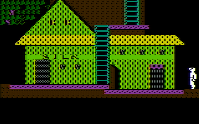 Below the Root IBM PC/Compatibles Screenshot: Outside a silk shop.