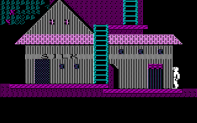 Below the Root IBM PC/Compatibles Screenshot: Outside a silk shop.