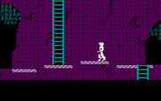 Below the Root for IBM PC/Compatibles - More gaps to jump over...