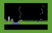 Below the Root for Commodore 64 - Don't fall into the river...