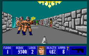 Wolfenstein 3D for IBM PC/Compatibles - Another well guarded hallway...