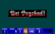 Wolfenstein 3D for IBM PC/Compatibles - Get psyched!