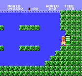 Super Mario Bros. for NES / Famicom - End of the underwater level.