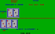 Casino Games for IBM PC/Compatibles - I won this round!