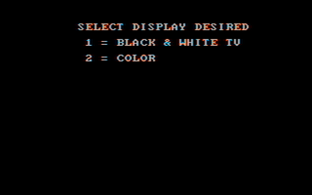 Casino Games IBM PC/Compatibles Screenshot: What type of display do you have?
