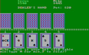 Casino Games for IBM PC/Compatibles - What's your bet?