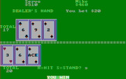 Casino Games for IBM PC/Compatibles - I won this round...