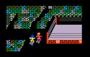 Body Slam: Super Pro Wrestling for Intellivision - You can also play tag team.