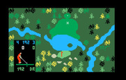 Chip Shot: Super Pro Golf for Intellivision - Water in front of the green on this par 3.
