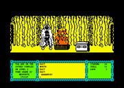 Heavy on the Magick for Amstrad CPC - I can't get past this fire at the moment...