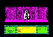 Heavy on the Magick for Amstrad CPC - A dead end...I'll have to backtrack...